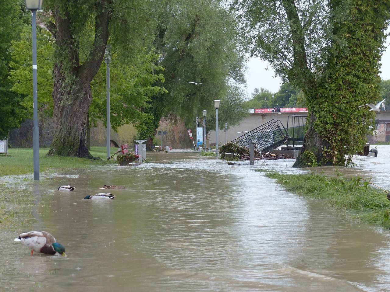 How to Prepare Your Home for Floods